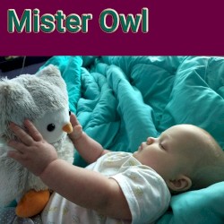 Mister Owl Demos