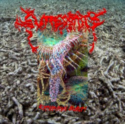 Extinction Burst!