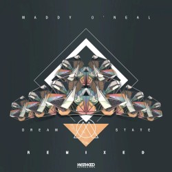 The Life (Dreamers Delight remix)