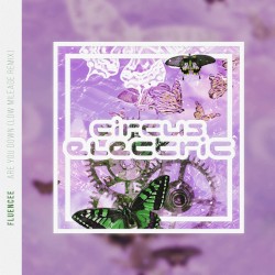 Are You Down (Low Mileage remix)