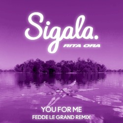 You for Me (Fedde Le Grand remix)