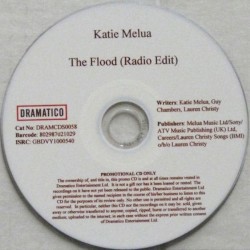 The Flood