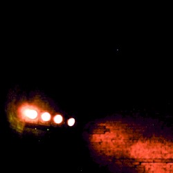 They Hide in the Shadows