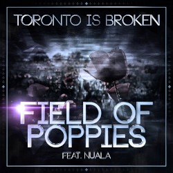 Field of Poppies
