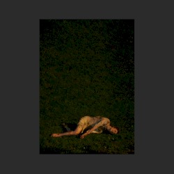 Wolf (Boys Noize Remix)