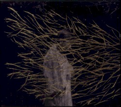 Engravings