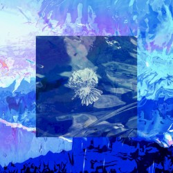 Fall Back Into Earth