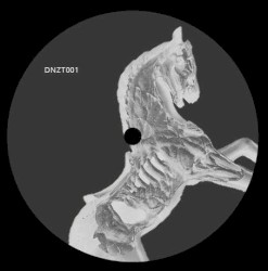 Anatomia Del Cavallo