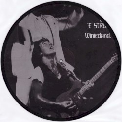 Winterland, 1978