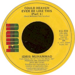 Could Heaven Ever Be Like This