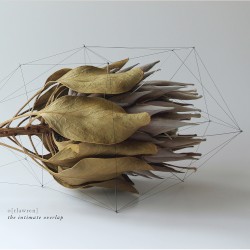 The Intimate Overlap