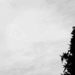 Hip Hop Is My Shrink