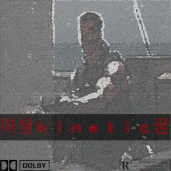 ＲＥＳＴＲＩＣＴＥＤ