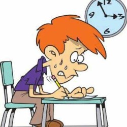 The Vocab Quiz