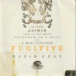 Fugitive
