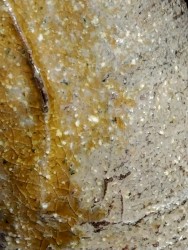 不識焼/fushikiyaki