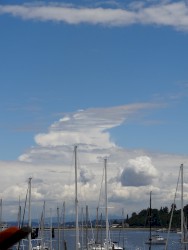 oRSo in Spring in Seattle out of Love