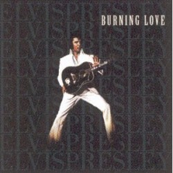 Burning Love