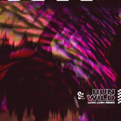 Run Wild (Luca Lush remix)