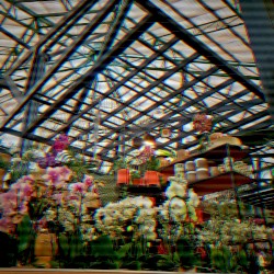 ļ¼°ļ½ļ½ļ½ļ½ ļ¼³ļ½ļ½ļ½ļ½ļ½ļ½ļ½ II