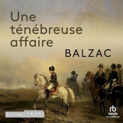 Une ténébreuse affaire