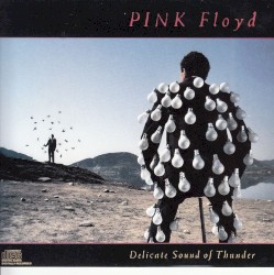 Delicate Sound of Thunder