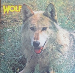 Canis Lupus