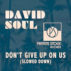 Don’t Give Up On Us (Slowed Down)