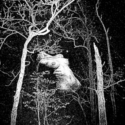 Labyrinth of Nightmares