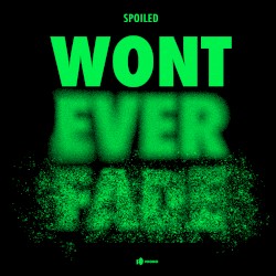 Won't Ever Fade (Paul Woolford Mix)