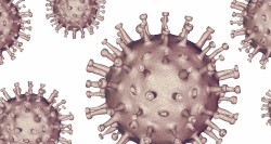 All Titles Are Utter Nonsense for Overly Self Indulgent Lamers