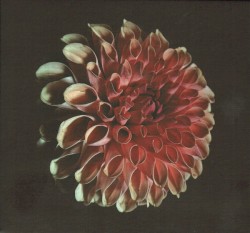 Unfolding