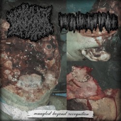 Mangled Beyond Recognition