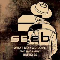 What Do You Love (remixes)