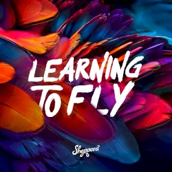 Learning To Fly