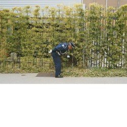 Good Luck and Do Your Best