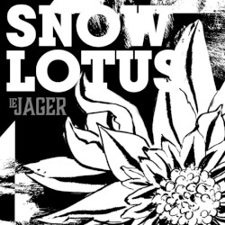 Snow Lotus
