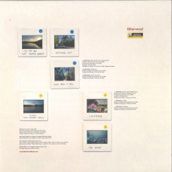 Lost in the Right Direction