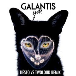 You (Tiësto vs twoloud remix)