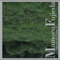 Patterns of Plants II