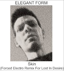 Skin (Forced Electro remix for Lost in Desire)