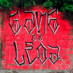 Gang da Leoa, Vol. 1