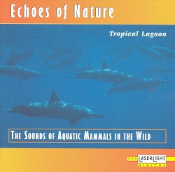 Echoes of Nature: Tropical Lagoon