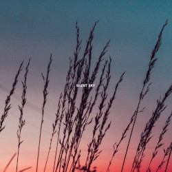 Silent Sky