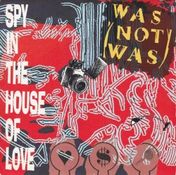 Spy in the House of Love