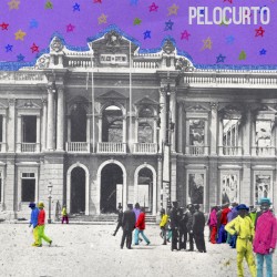 Pelocurto