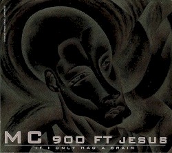 If I Only Had a Brain