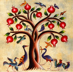 The Pomegrenate Tree
