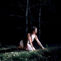 WHERE’S THE LIGHT ?