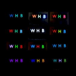 The Woods EP